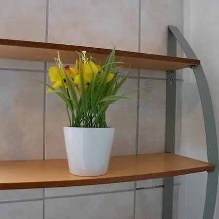 West Side Roses Apartment